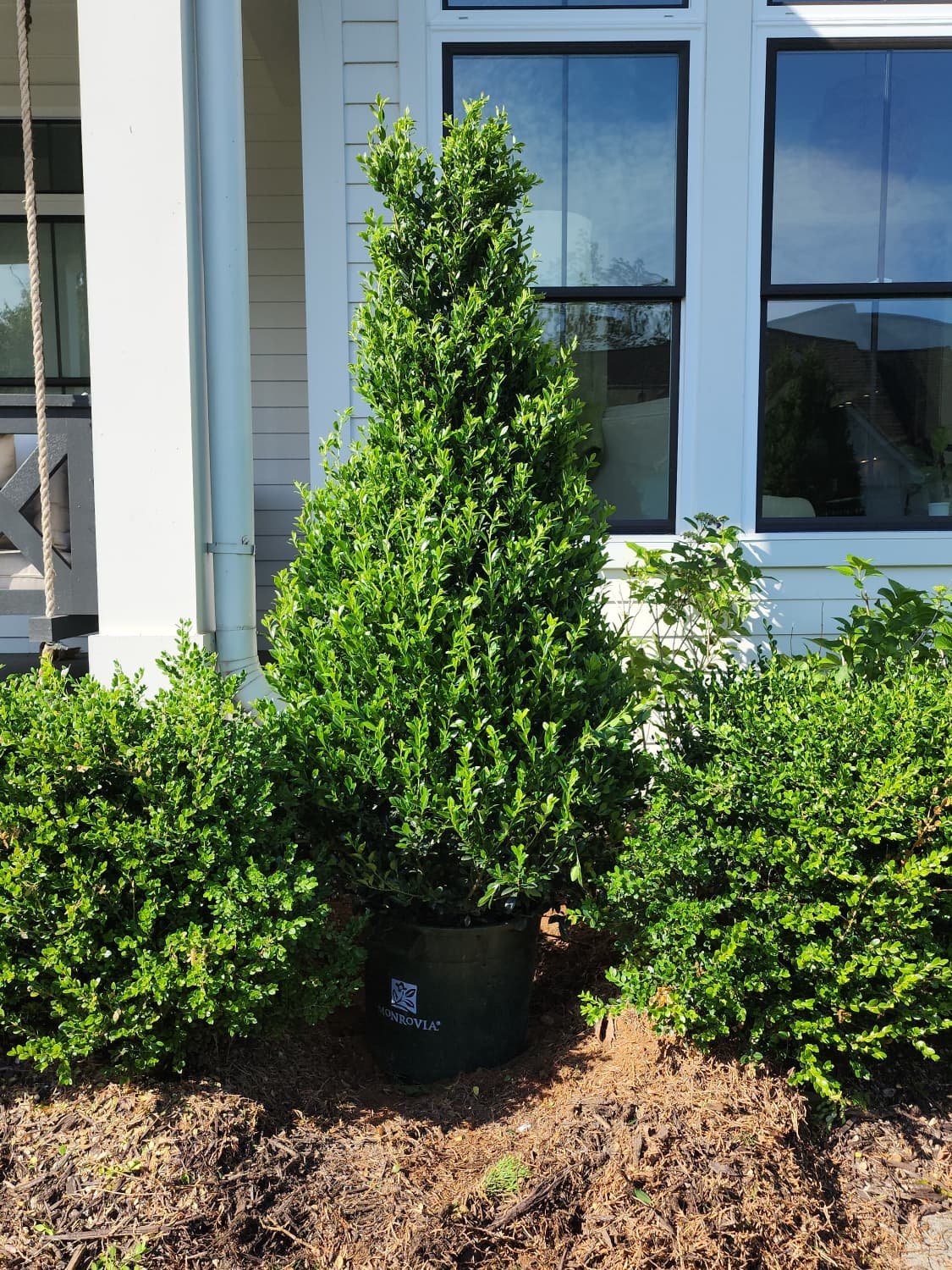 Professionally designed and maintained residential landscape